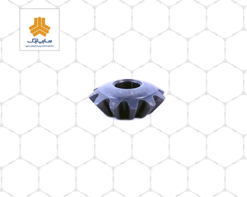 كيت دنده هرزگرد بزرگ و كوچك ديفرانسيل